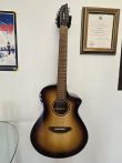 Breedlove Discovery S Concert ED 12 CE - 12 String With Case