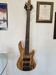 ESP LTD B-205SM 5-String Bass Guitar