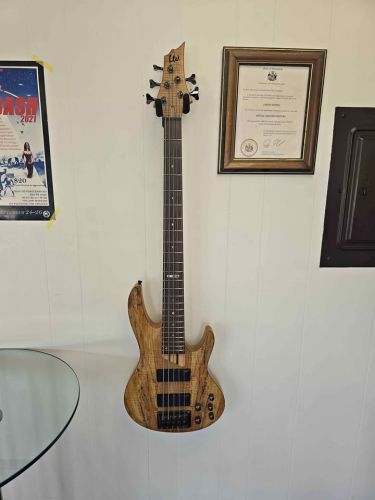 ESP LTD B-205SM 5-String Bass Guitar