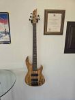ESP LTD B-205SM 5-String Bass Guitar