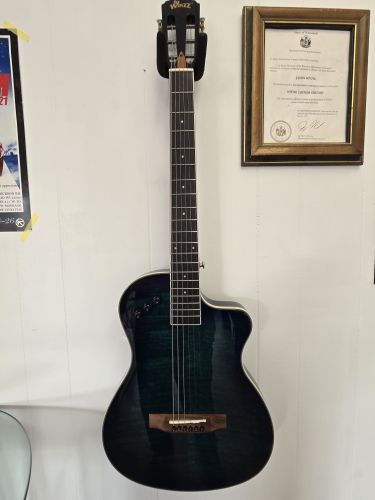 Winzz Acoustic-Electric Guitar