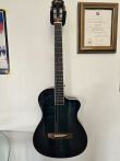 Winzz Acoustic-Electric Guitar